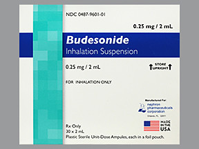 BUDESONIDE 25 MG 2ML INHALANT 0487960101