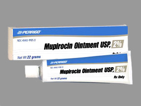 MUPIROCIN 2 PERCENT 22 GM OINTMENT 4580211222