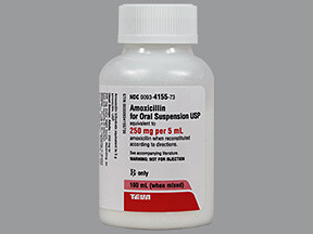 AMOXICILLIN 250 MG 5ML POWDER 0093415573
