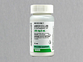 AMOXICILLIN 200 MG 5ML POWDER 0093416073