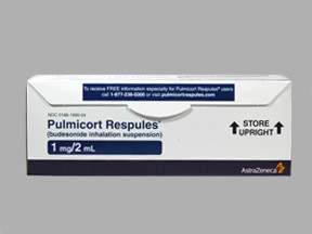 BUDESONIDE 1 MG 2ML SUSPENSION 0186199004